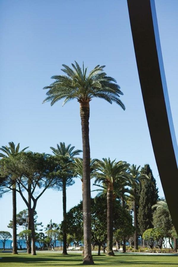 Ferienwohnung F2 Terrasse, Moderne, Hyper Centre, Clim, Ascenseur Nizza Exterior foto